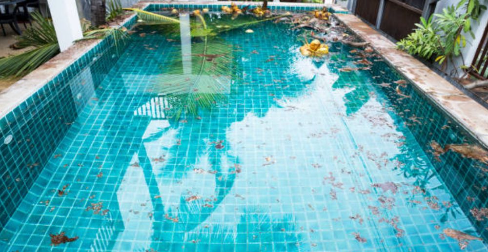 piscina mal cuidada sin mantenimeinto con hojas y palmas sobre ella y alrededor