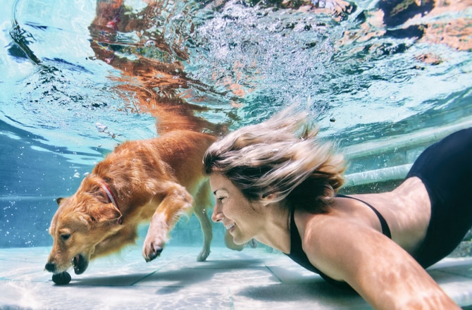 Disfrutando de nadar con mascotas